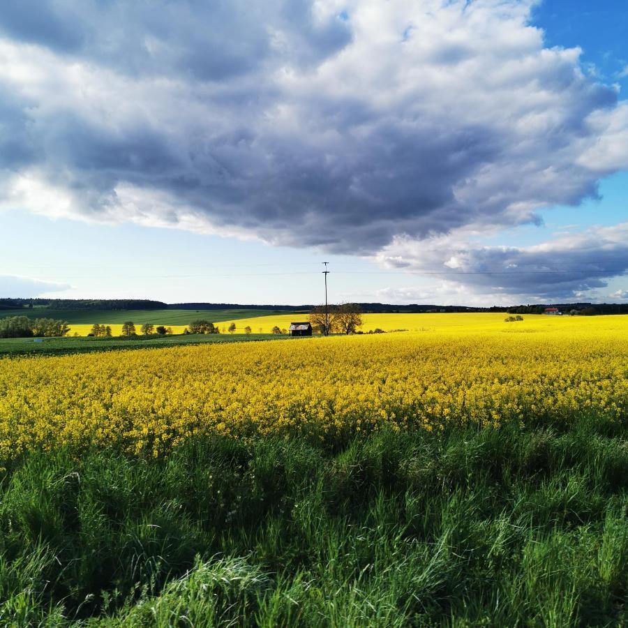 Osrodek Volfcamp Kwaszenina Lägenhet Arłamów Exteriör bild