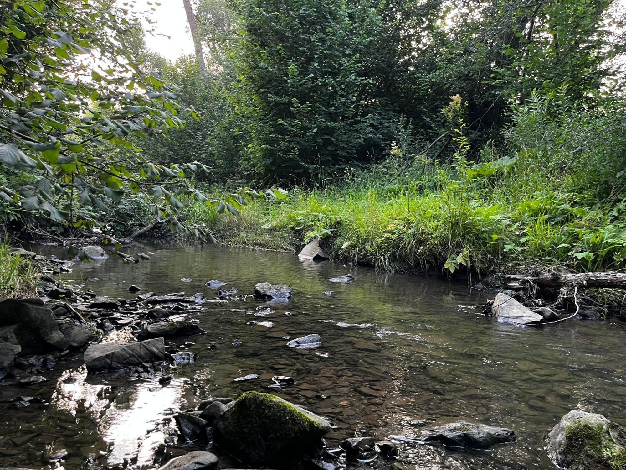 Osrodek Volfcamp Kwaszenina Lägenhet Arłamów Exteriör bild