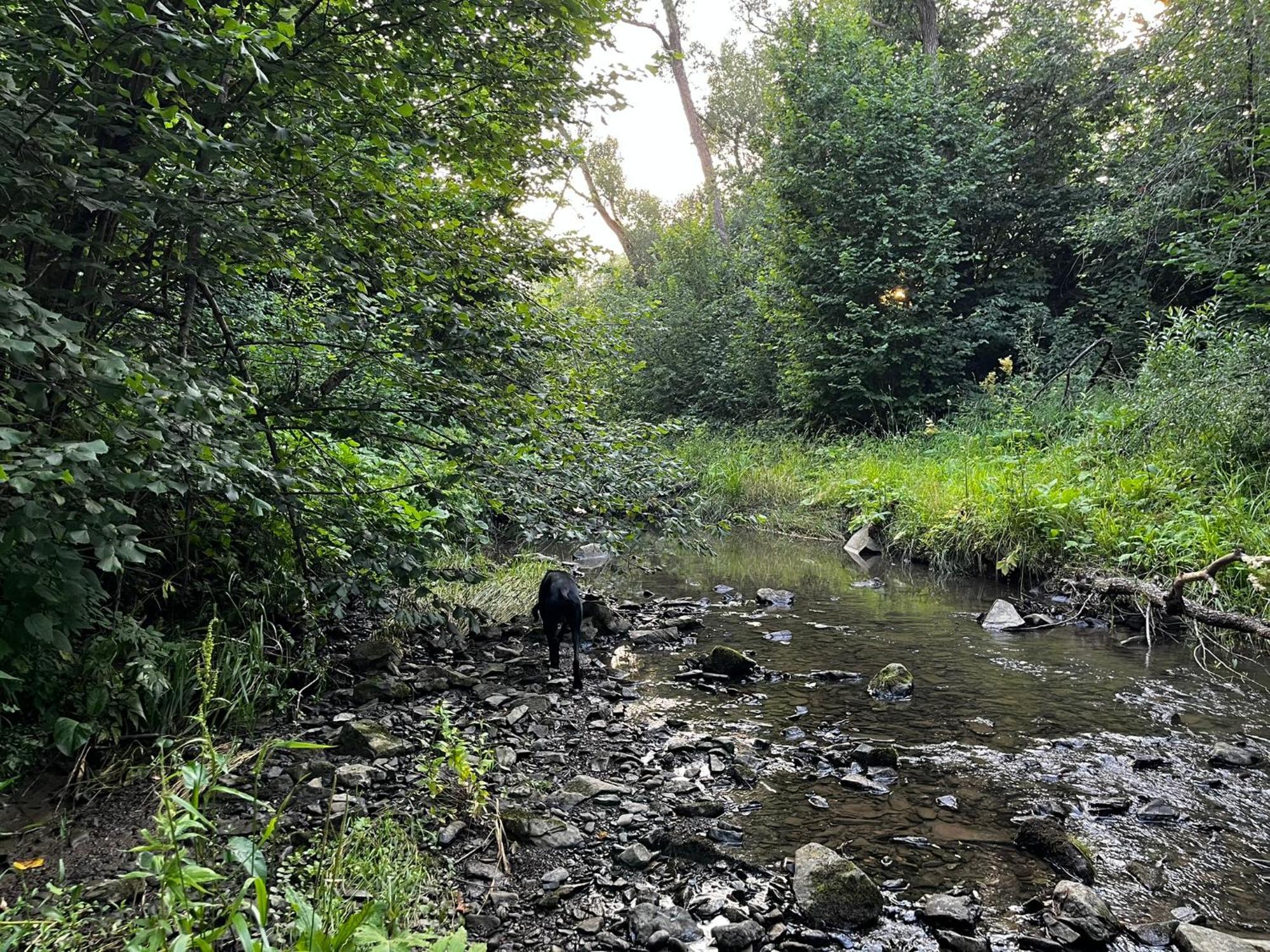 Osrodek Volfcamp Kwaszenina Lägenhet Arłamów Exteriör bild